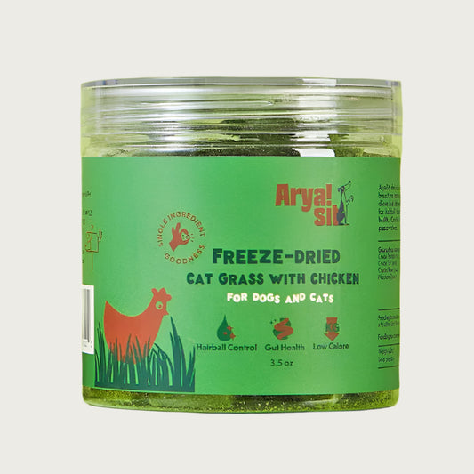 3.5 oz clear plastic container of Arya! Sit Freeze-Dried Cat Grass with Chicken for Dogs & Cats. Hairball control, gut health, low calorie. Product inside is visible; they are small green cubes.