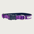 Load image into Gallery viewer, Deep purple hued glitter 3/4" wide dog collar with a D-ring, black nylon inner webbing and black plastic buckle. The fabric itself is shimmery & glittery - it is not glued on.
