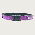 Load image into Gallery viewer, Deep purple hued glitter 1" wide dog collar with a D-ring, black nylon inner webbing and black plastic buckle. The fabric itself is shimmery & glittery - it is not glued on.
