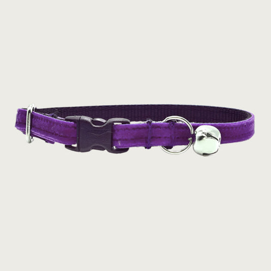 Deep purple hued velvet cat collar with a silver bell and small D-ring. Black nylon inner webbing and black plastic buckle.