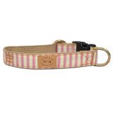 Classic Pink Ticking Collar