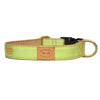 Honeydew Collar