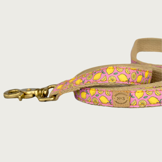 Lemon Collar