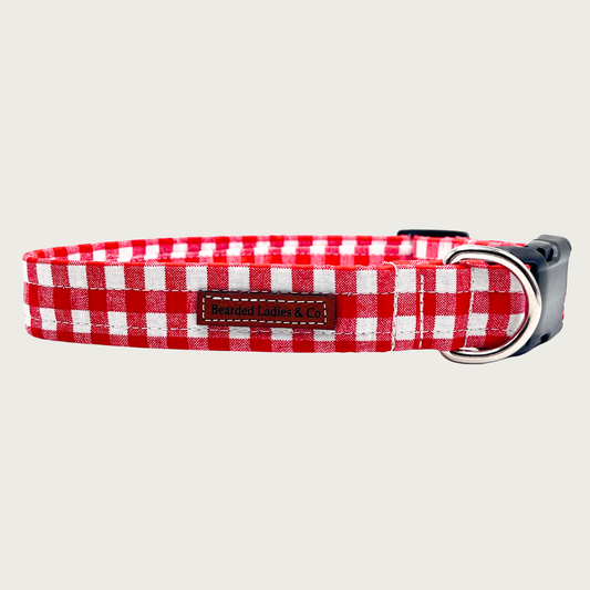 Red and white checkered dog collar resembling a classic picnic tablecloth print. Black plastic hardware with silver metal D-ring.