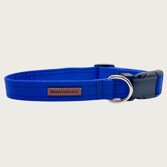 Solid royal blue dog collar with black plastic hardware and silver metal D-ring.