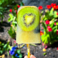 Load image into Gallery viewer, Bone Broth Pupsicles - Blueberry & Kiwi
