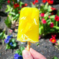 Load image into Gallery viewer, Bone Broth Pupsicles - Piña Colada

