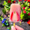 Bone Broth Pupsicles - Strawberry Mojito