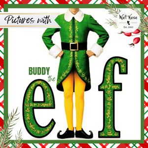 Pictures With Buddy The Elf