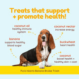 Pure Hearts Banana Brulee Treat text-focused graphic, with basset hound dog in middle of image. Headline reads: Treats that support + promote health! Ingredients & benefits are then broken down. Coconut oil - healthy immune system, coconut nectar - increase energy, banana - supports healthy blood sugar, buckwheat - heart health, coconut - bowel health + healthy skin & coat. 