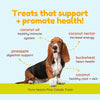 Pure Hearts Pina Colada Treat text-focused graphic, with basset hound dog in middle of image. Headline reads: Treats that support + promote health! Ingredients & benefits are then broken down. Coconut oil - healthy immune system, coconut nectar - increase energy, pineapple - digestion support, buckwheat - heart health, coconut - healthy skin & coat. 