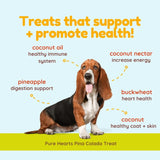 Pure Hearts Pina Colada Treat text-focused graphic, with basset hound dog in middle of image. Headline reads: Treats that support + promote health! Ingredients & benefits are then broken down. Coconut oil - healthy immune system, coconut nectar - increase energy, pineapple - digestion support, buckwheat - heart health, coconut - healthy skin & coat. 