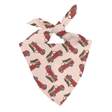 Holiday Truck Bandana