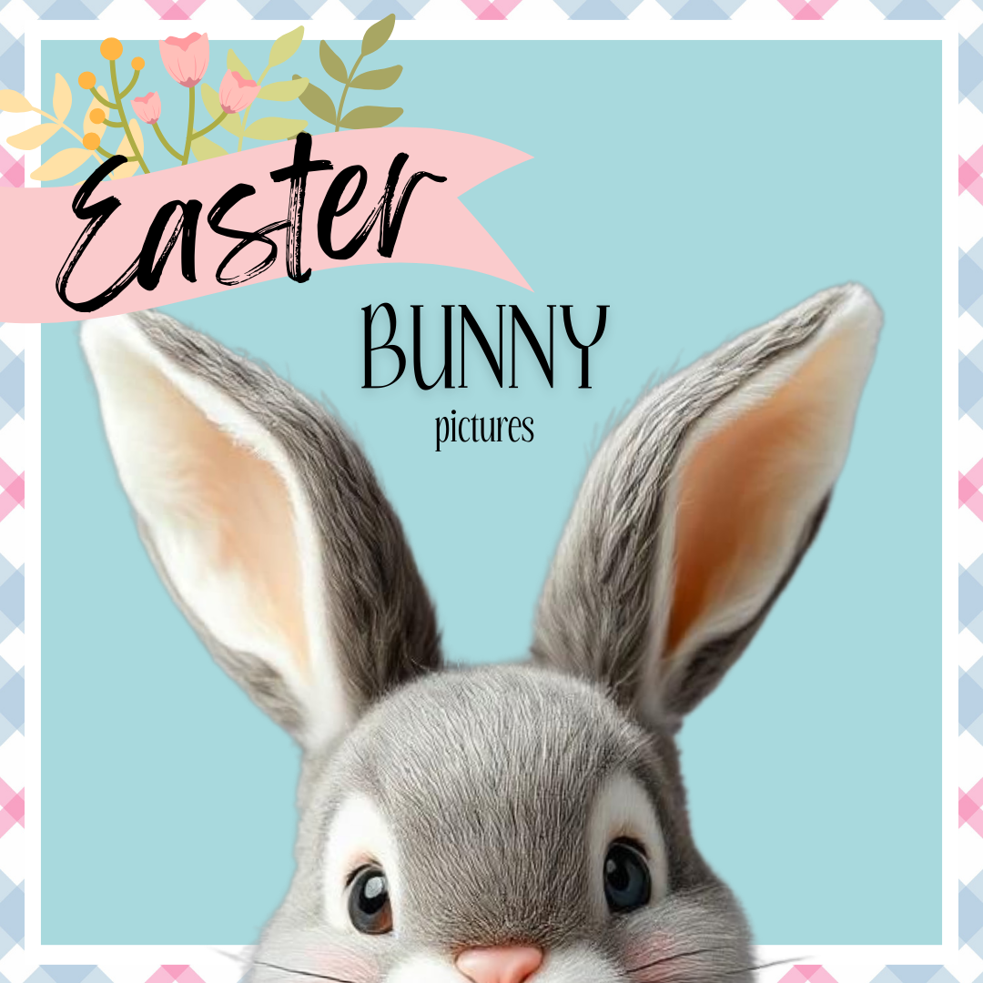 WET NOSE Easter Bunny Pictures