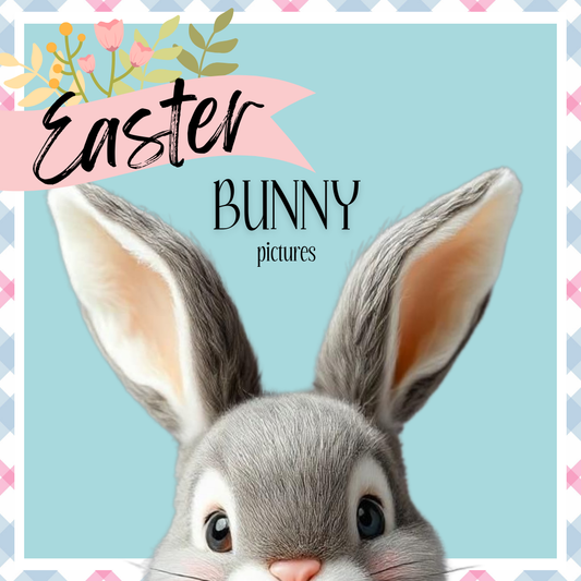 WET NOSE Easter Bunny Pictures