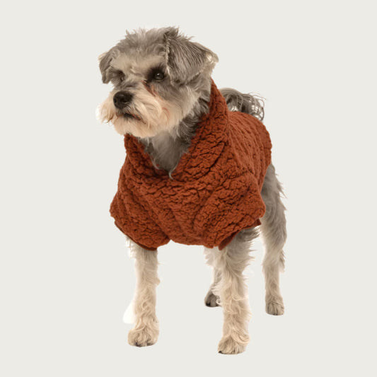 Front view of a schnauzer dog wearing the Sherpa Dog Hoodie in Rust.