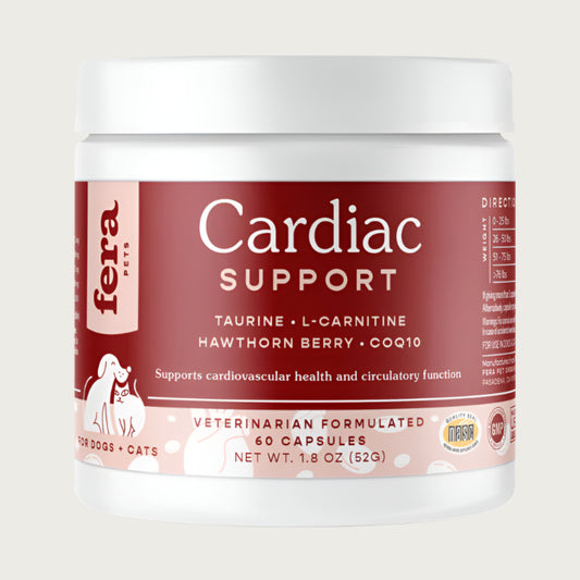 A white plastic container with burgundy label, of Fera Pets Cardiac Support. Supports cardiovascular health and circulatory function. For Dogs & Cats. Veterinarian formulated. 60 capsules.