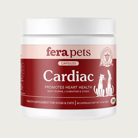 A white plastic container with burgundy label, of Fera Pets Cardiac. Promotes Heart Health with Taurine, L-Carnitine & CoQ10. Health Supplement for Dogs & Cats. Veterinarian created. 60 capsules.