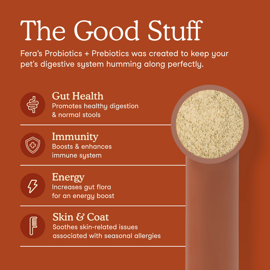 Text-heavy graphic explaining the benefits of the product, with a scoop of the powder shown on the right side. Gut Health: promotes healthy digestion & normal stools. Immunity: Boosts & enhances immune system. Energy: Increases gut flora for an energy boost. Skin & Coat: Soothes skin-related issues associated with seasonal allergies.