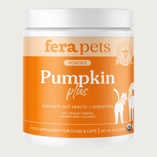 A white plastic container with orange label, of Fera Pets Pumpkin Plus powder. Supports Gut Health + Digestion. With organic pumpkin, pumpkin seed + flaxseed. Food Supplement for Dogs & Cats. USDA Organic. Veterinarian created. Net Wt. 8 oz.