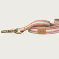 Load image into Gallery viewer, Dog leash with a base pale yellow color with vertical pink stripes in varying thickness.
