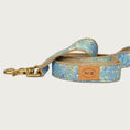 Load image into Gallery viewer, Dog collar featuring a subtle floral pattern in shades of pastel blue. Brass clasp.
