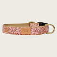 Load image into Gallery viewer, Dog collar with a tiny, dense floral pattern in shades of pink. Underside is a light tan cotton. Collar has brass hardware and black plastic clip.
