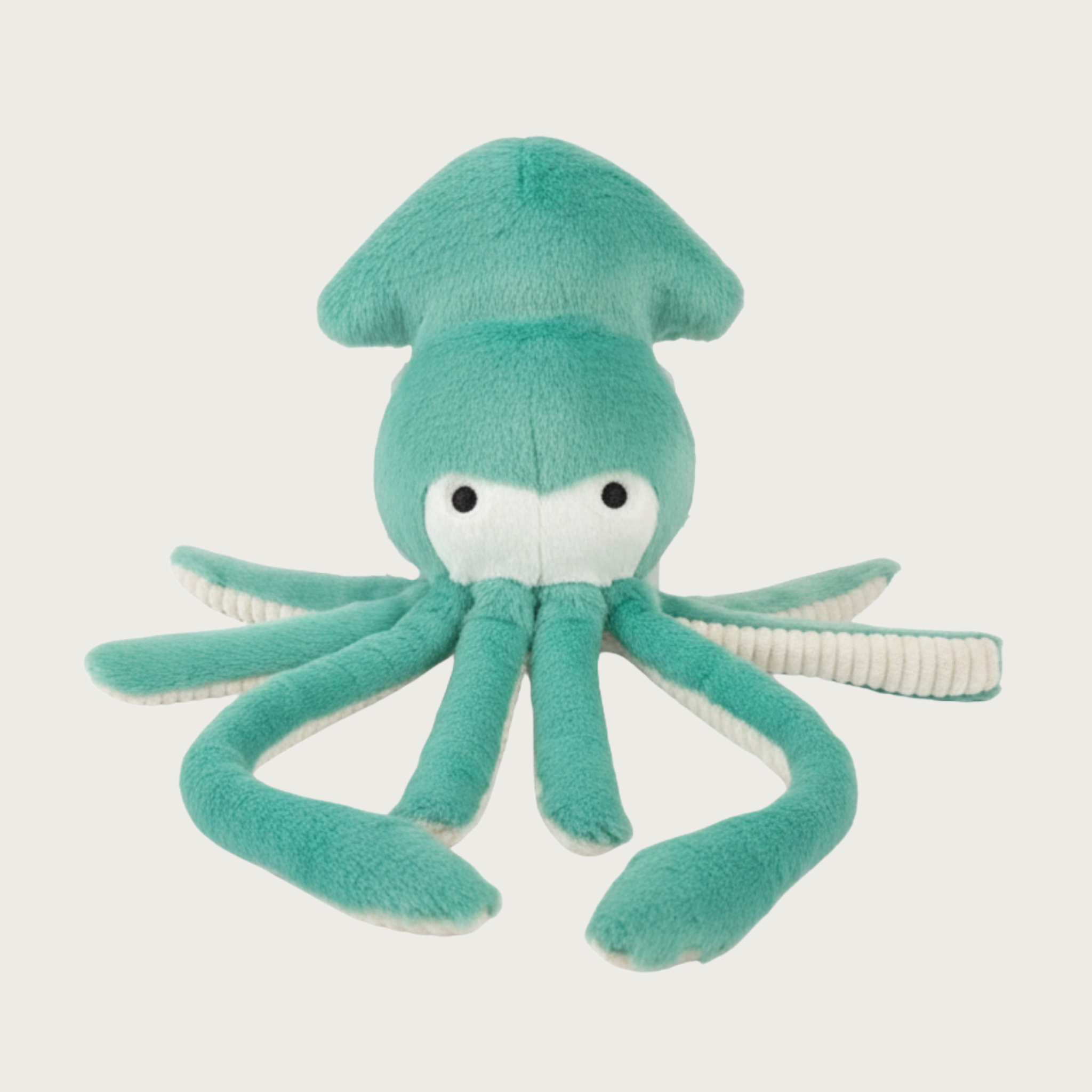 Aqua plush squid toy for dogs, with 8 tentacles in varying lengths with cream textured plush undersides.