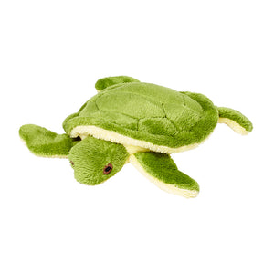 Plush Shelly Turtle dog toy from Fluff & Tuff. Toy looks like a baby sea turtle. It is a medium shade of green on top, and underneath it is pale yellow, with brown eyes.