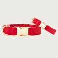 Load image into Gallery viewer, Cranberry Velvet Collar

