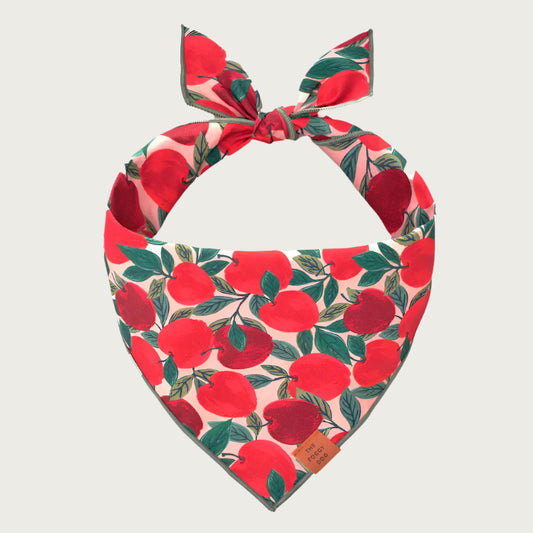 Apple Of My Eye Bandana