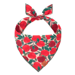 Apple Of My Eye Bandana