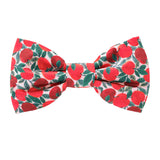 Apple Of My Eye Bow Tie