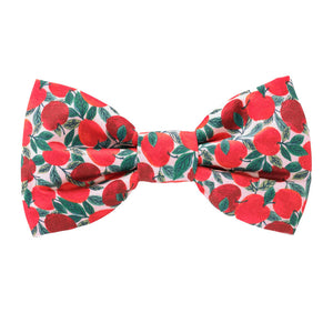 Apple Of My Eye Bow Tie