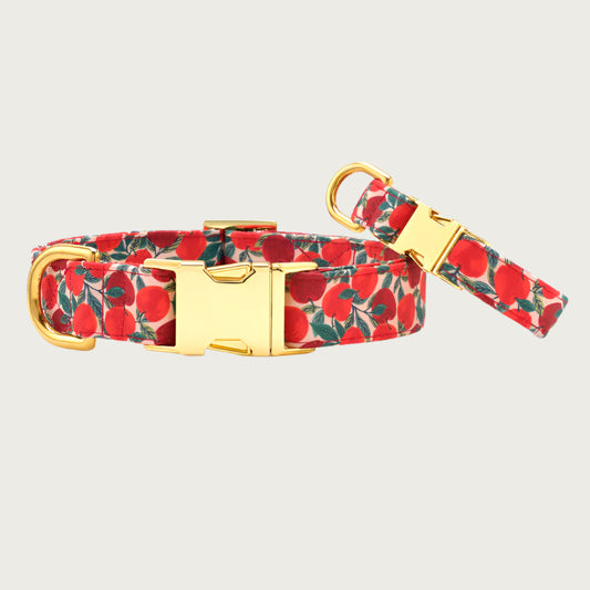 Apple Of My Eye Collar