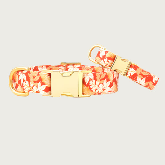 Autumn Leaves Collar