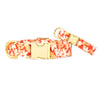 Autumn Leaves Collar