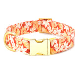 Autumn Leaves Collar