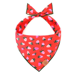 Berry Sweet Bandana