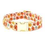 Jack-o'-Lantern Collar