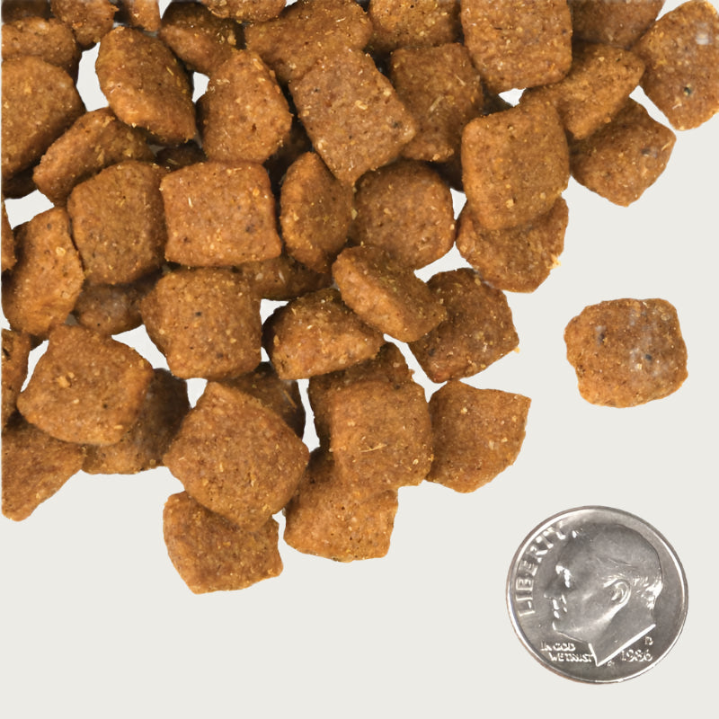 A close-up image of a handful of dry Chicken a la Veg kibble pieces, next to a dime for size comparison. 1-2 of the pieces would fit into the area of the dime. They have a slightly rounded square shape to them.