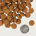 Load image into Gallery viewer, A close-up image of a handful of dry Pork & Applesauce kibble pieces, next to a dime for size comparison. 1-2 of the round pieces would fit into the area of the dime.
