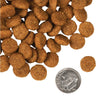 A close-up image of a handful of dry Pork & Applesauce kibble pieces, next to a dime for size comparison. 1-2 of the round pieces would fit into the area of the dime.