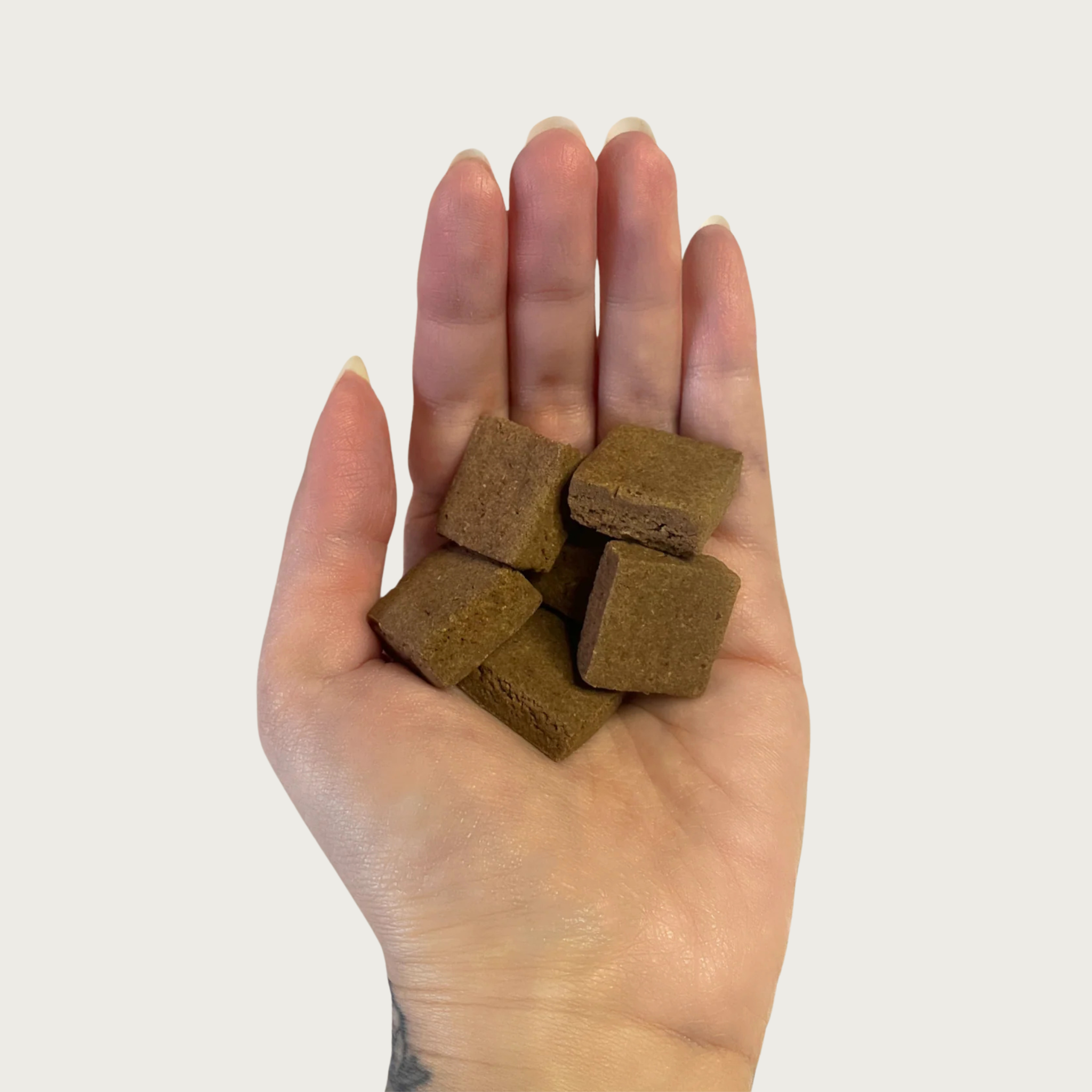Hand holding small, square, dark brown, peanut, pumpkin, & carob Goat Milk Biscuit dog treats.