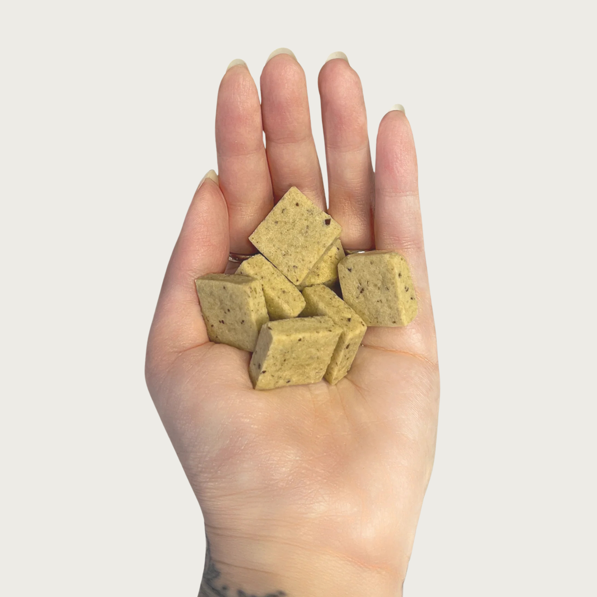 Hand holding small square peanut & banana Goat Milk Biscuit dog treats.