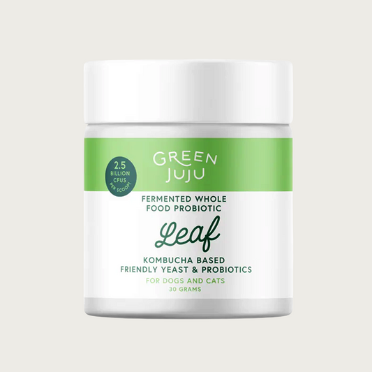 White plastic container of Green Juju Fermented Whole Food Probiotic "Leaf", kombucha based friendly yeast & probiotics for dogs and cats. 30 grams. 2.5 billion CFUS per scoop.
