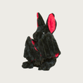 Load image into Gallery viewer, Side view of Batilda Bat dog toy with its wings closed in.
