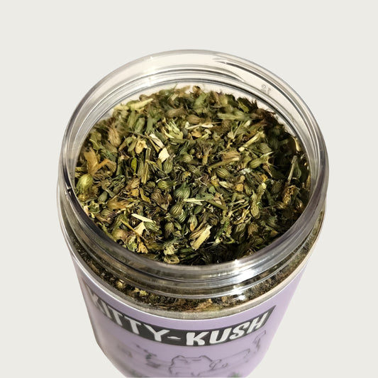 Closeup of open jar of Kitty Kush Whisker Weed Organic Catnip. Green crushed leaves, flowers and seed pods are visible.