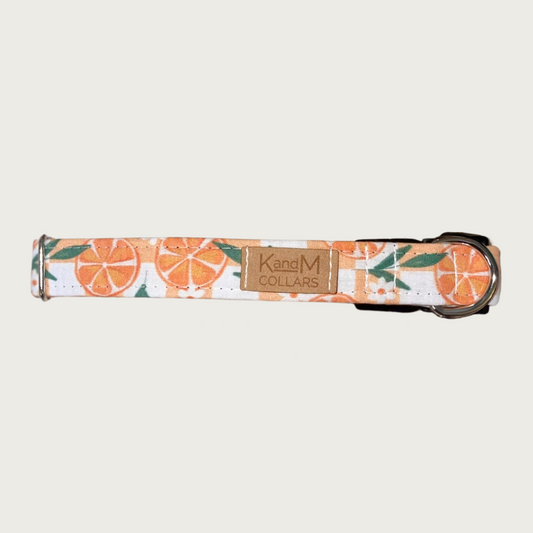 1" width dog collar with round orange slices and white flowers & greenery, on a pale orange & white checkered background. 