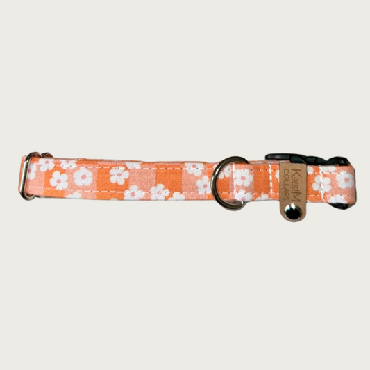 0.75" width dog collar with simple white flowers on a pale two-toned orange checkered background. 